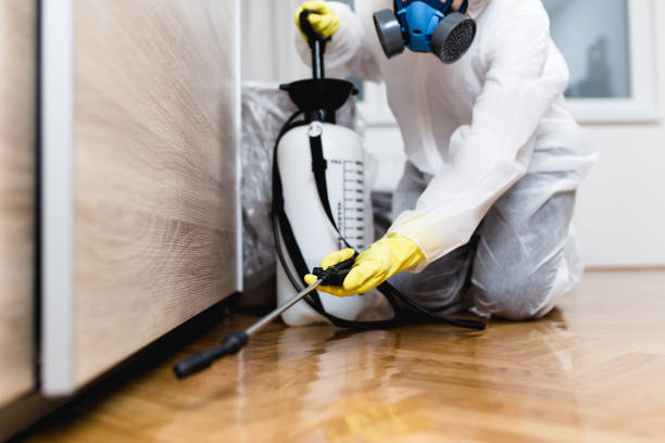 Trusted San Pablo, NM Pest Control Experts