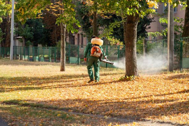 Best Flea Control Services  in San Pablo, NM