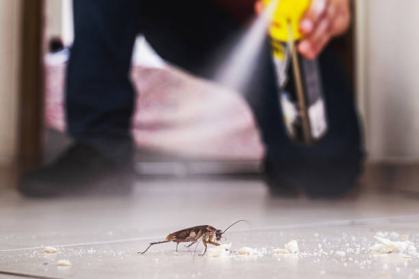 Best Pest Inspection Near Me  in San Pablo, NM