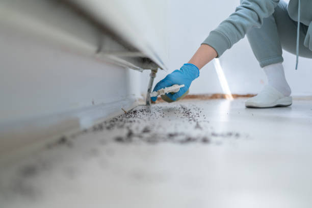 Best Emergency Pest Control  in San Pablo, NM