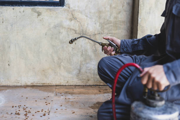 Best Commercial Pest Control Services  in San Pablo, NM